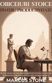 Obiceiuri Stoice Pentru Productivitate (eBook, ePUB)
