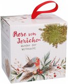 Wunder der Weihnacht