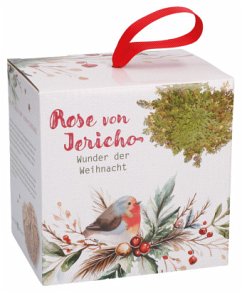Cover Wunder der Weihnacht