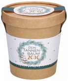 Dein Tannenbaum 2030