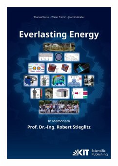 Cover Everlasting Energy - In Memoriam Prof. Dr.-Ing. Robert Stieglitz