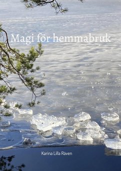 Magi för hemmabruk (eBook, ePUB)