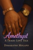 Amethyst - A Tragic Love Tale (Amethyst Meets Kingston, #1) (eBook, ePUB) Amethyst - A Tragic Love Tale (Amethyst Meets Kingston, #1) (eBook, ePUB)