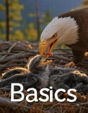 Basics (eBook, ePUB)