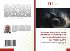 Etude et Simulation de la convection naturelle par la Méthode de Boltzmann sur Réseau (LBM)