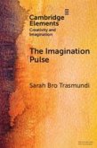 The Imagination Pulse The Imagination Pulse