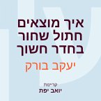 איך מוצאים חתול שחור בחדר חשוך (MP3-Download)