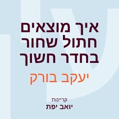 Cover איך מוצאים חתול שחור בחדר חשוך (MP3-Download)