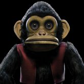 The Monkey The Monkey