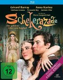 Scheherazade - Der Goldene Loewe Von Bagdad (Shehe