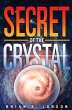 Secret of the Crystal: Brothers (eBook,... - Bild 1
