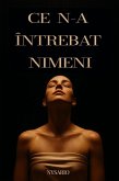 Ce n-a intrebat nimeni (eBook, ePUB) Ce n-a intrebat nimeni (eBook, ePUB)
