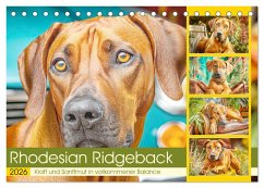 Rhodesian Ridgeback. Kraft und Sanftmut in vollkommener Balance (Tischkalender 2026 DIN A5 quer), CALVENDO Monatskalender