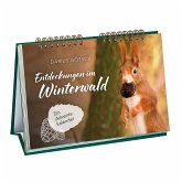 Entdeckungen im Winterwald