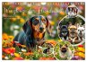 Winzlinge der Hundewelt (Wandkalender... - Bild 1