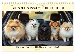 Tausendsassa - Pomeranian (Wandkalender 2026 DIN A4 quer), CALVENDO Monatskalender Cover Tausendsassa - Pomeranian (Wandkalender 2026 DIN A4 quer), CALVENDO Monatskalender