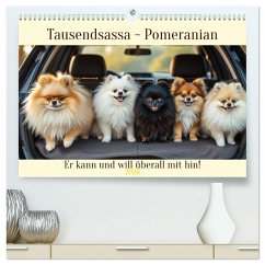 Tausendsassa - Pomeranian (hochwertiger Premium Wandkalender 2026 DIN A2 quer), Kunstdruck in Hochglanz Cover Tausendsassa - Pomeranian (hochwertiger Premium Wandkalender 2026 DIN A2 quer), Kunstdruck in Hochglanz