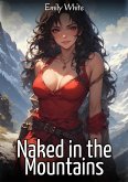 Naked in the Mountains (eBook, ePUB)