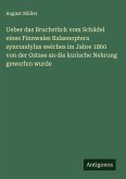 Ueber das Bruchstück vom Schädel eines Finnwales Balaenoptera syncondylus welches im Jahre 1860 von der Ostsee an die kurische Nehrung geworfen wurde
