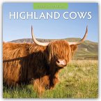 Highland Cows - Hochland Kühe 2026 - 16-Monatskalender
