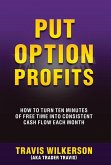 Put Option Profits