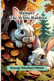 Bumper The White Rabbit Bumper The White Rabbit