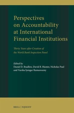 Cover Perspectives on Accountability at International Financial Institutions