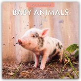 Baby Animals - Tierkinder - Tierbabys 2026 - 16-Monatskalender