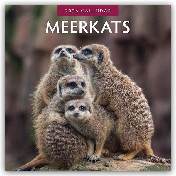 Meerkats - Erdmännchen 2026 - 16-Monatskalender