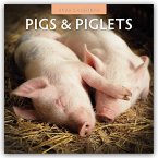 Pigs & Piglets - Schweine & Ferkel 2026 - 16-Monatskalender