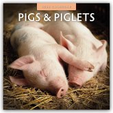 Pigs & Piglets - Schweine & Ferkel 2026 - 16-Monatskalender