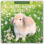 Long Eared Rabbits - Langohrhasen 2026 - 16-Monatskalender Long Eared Rabbits - Langohrhasen 2026 - 16-Monatskalender