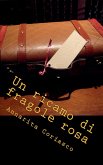 Un ricamo di fragole rosa - Delitti di provincia 5