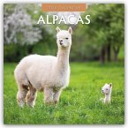 Alpacas - Alpakas 2026 - 16-Monatskalender Alpacas - Alpakas 2026 - 16-Monatskalender