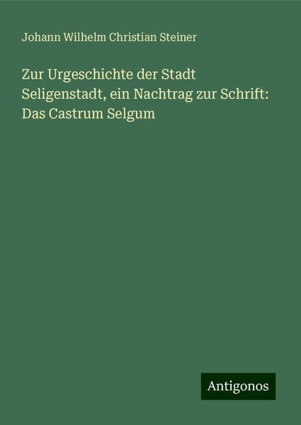 Zur Urgeschichte der Stadt Seligenstadt, ein Nachtrag zur Schrift: Das Castrum Selgum