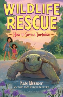 Cover How to Save a Tortoise