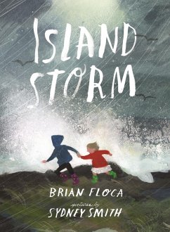 Cover Island Storm