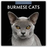 Burmese Cats - Burma-Katzen - Burmese 2026 - 16-Monatskalender
