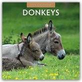 Donkeys - Esel 2026 - 16-Monatskalender