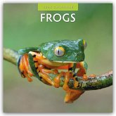 Frogs - Frosch - Frösche 2026 - 16-Monatskalender