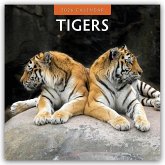 Tigers - Tiger 2026 - 16-Monatskalender