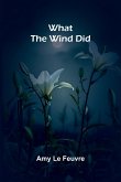 What The Wind Did