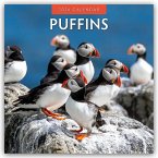 Puffins - Papageitaucher 2026 - 16-Monatskalender Puffins - Papageitaucher 2026 - 16-Monatskalender