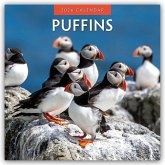 Puffins - Papageitaucher 2026 - 16-Monatskalender