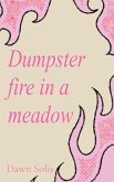 Dumpster fire in a meadow