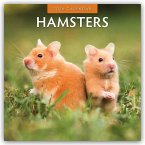 Hamsters - Hamster 2026 - 16-Monatskalender Hamsters - Hamster 2026 - 16-Monatskalender