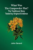 What Was The Gunpowder Plot? The Traditional Story Tested By Original Evidence