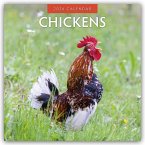 Chickens - Hühner 2026 - 16-Monatskalender Chickens - Hühner 2026 - 16-Monatskalender