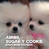 Amor, Sugar y Cookie Amor, Sugar y Cookie