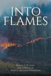 Into the Flames - Bild 1